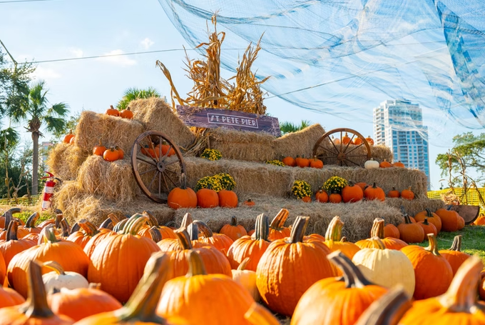 St-Pete-Pier-Pumpkin-Patch