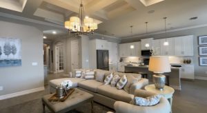 toscana isles wheaton model lounge